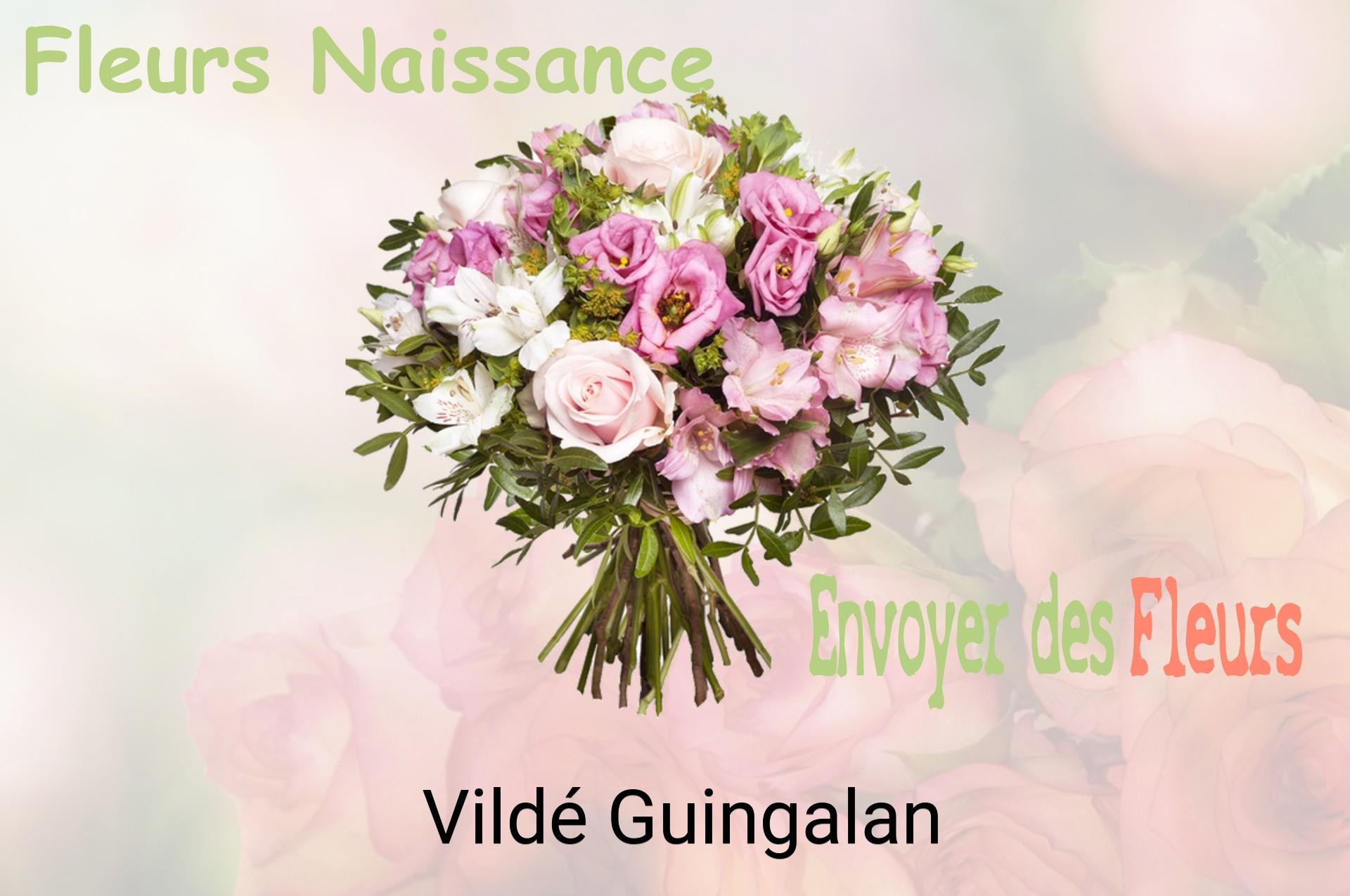 Bouquet de fleurs de naissance livré à Vildé-Guingalan